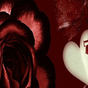 Meet your Posher, Belinda